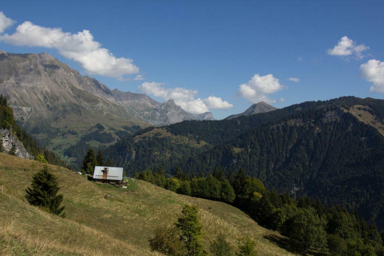 Reine Des Aravis - Isole