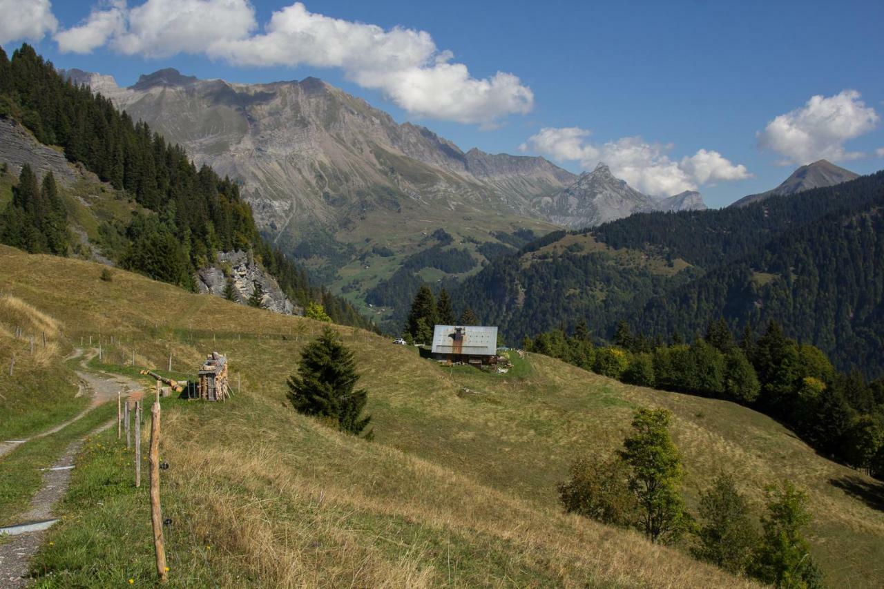 Chalet Reine Des Aravis - Isole