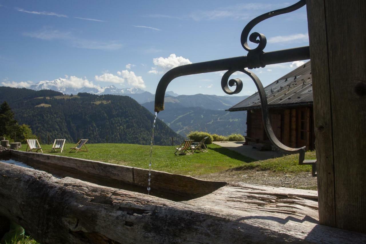 Chalet Reine Des Aravis - Isole *